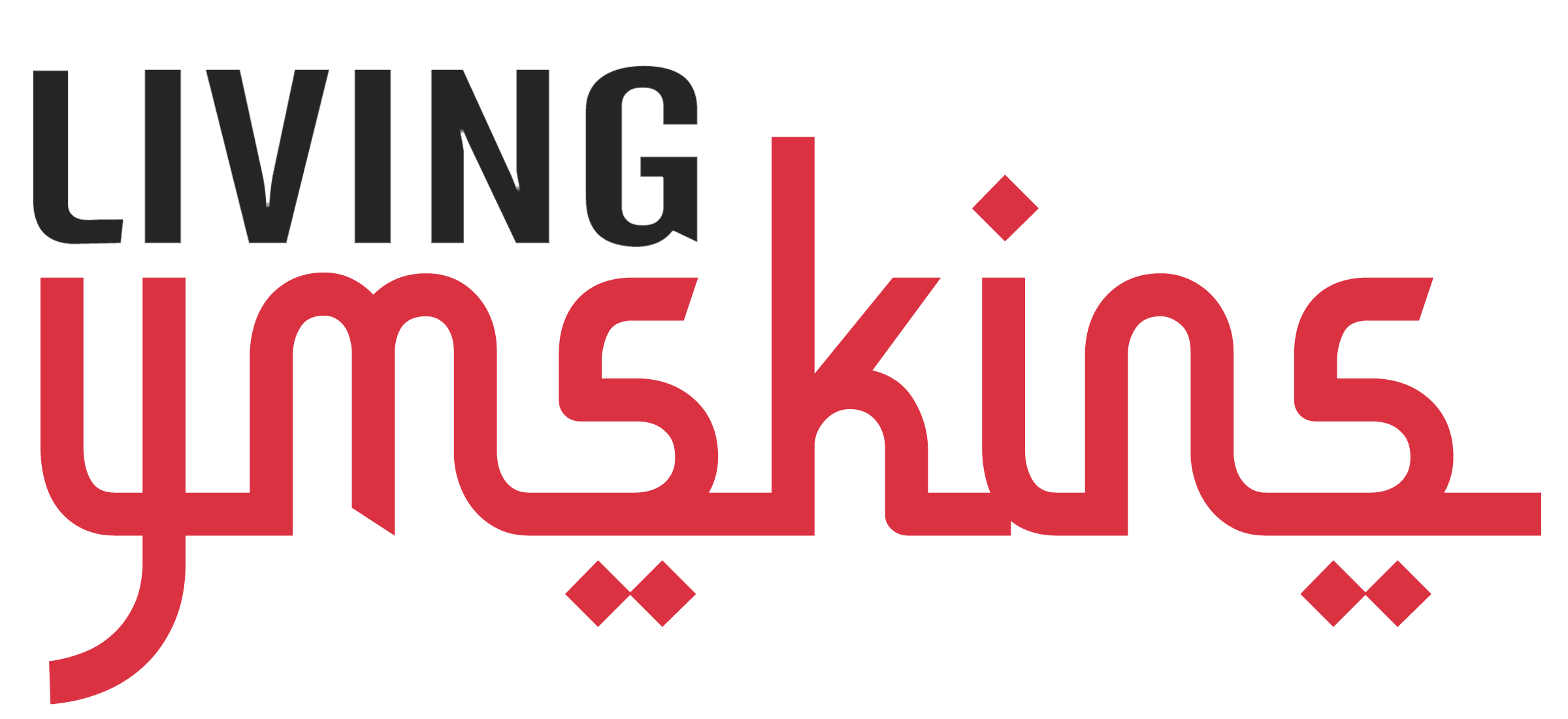 YMSKINS