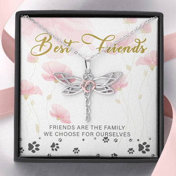 Best Friend Friends Are The Family We Choose For Ourselves Dragonfly Necklace With Pod Message Card